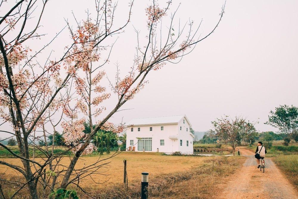 Romance - Another Story In Pai Exterior foto